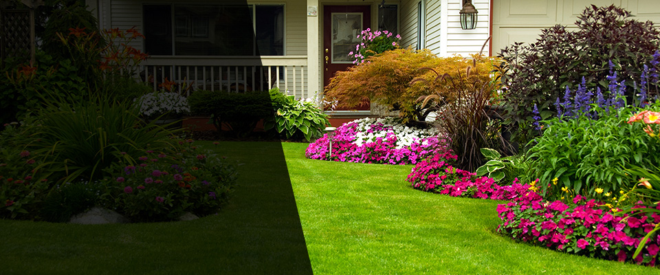 Bridgeton Landscapers